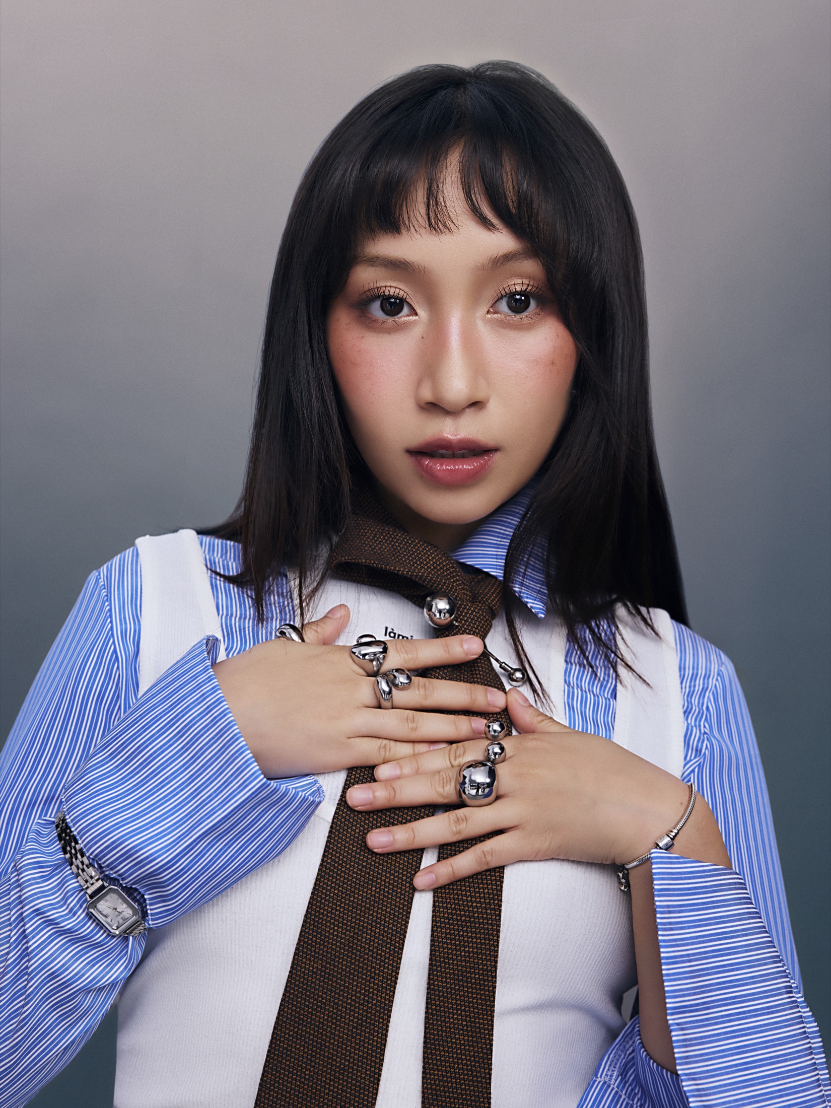 Mỹ Anh press portrait